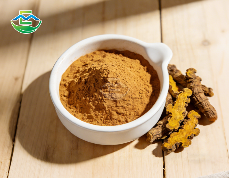 Coptis Chinensis Extract